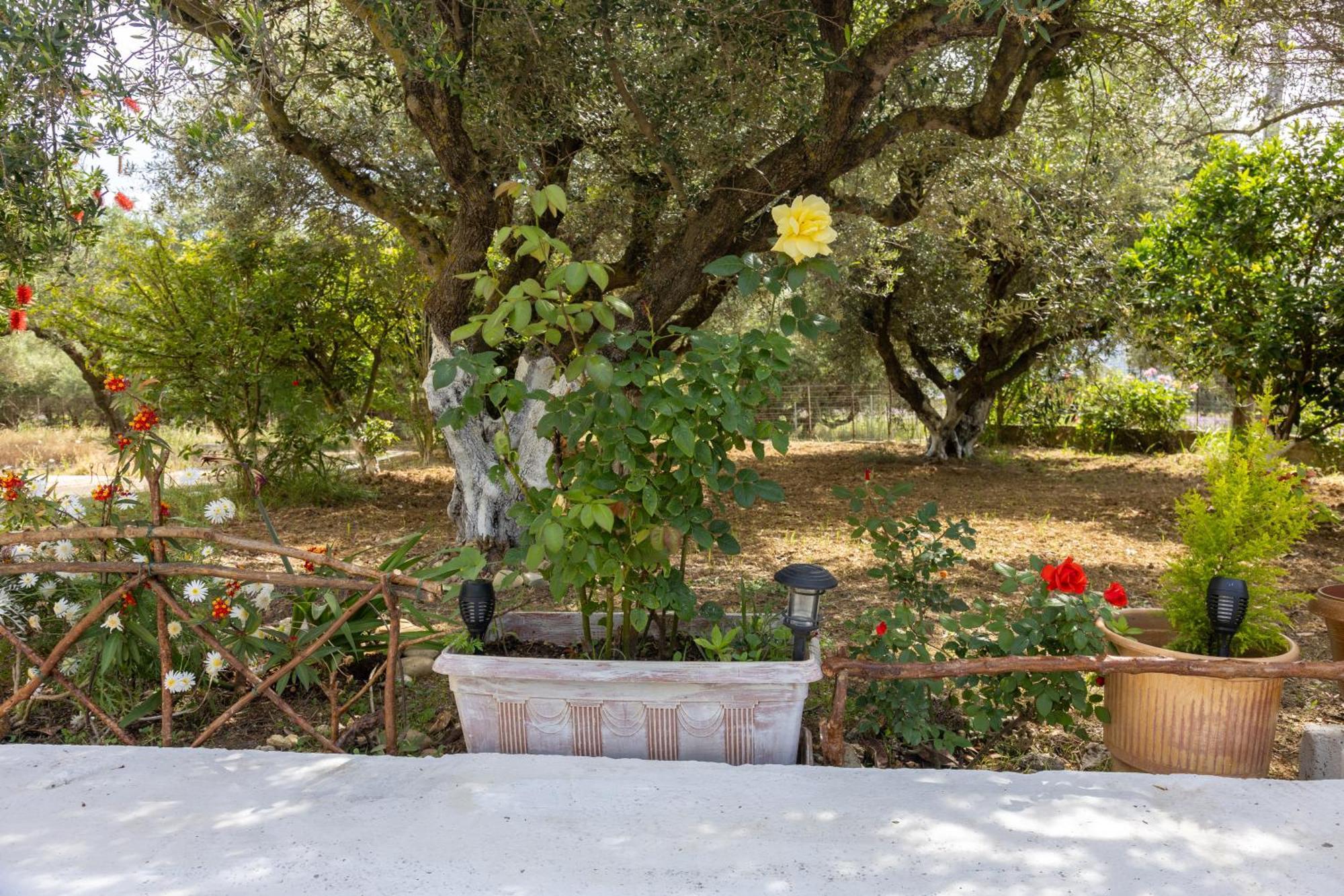 Вилла Sea & Olives House Ликсури Экстерьер фото