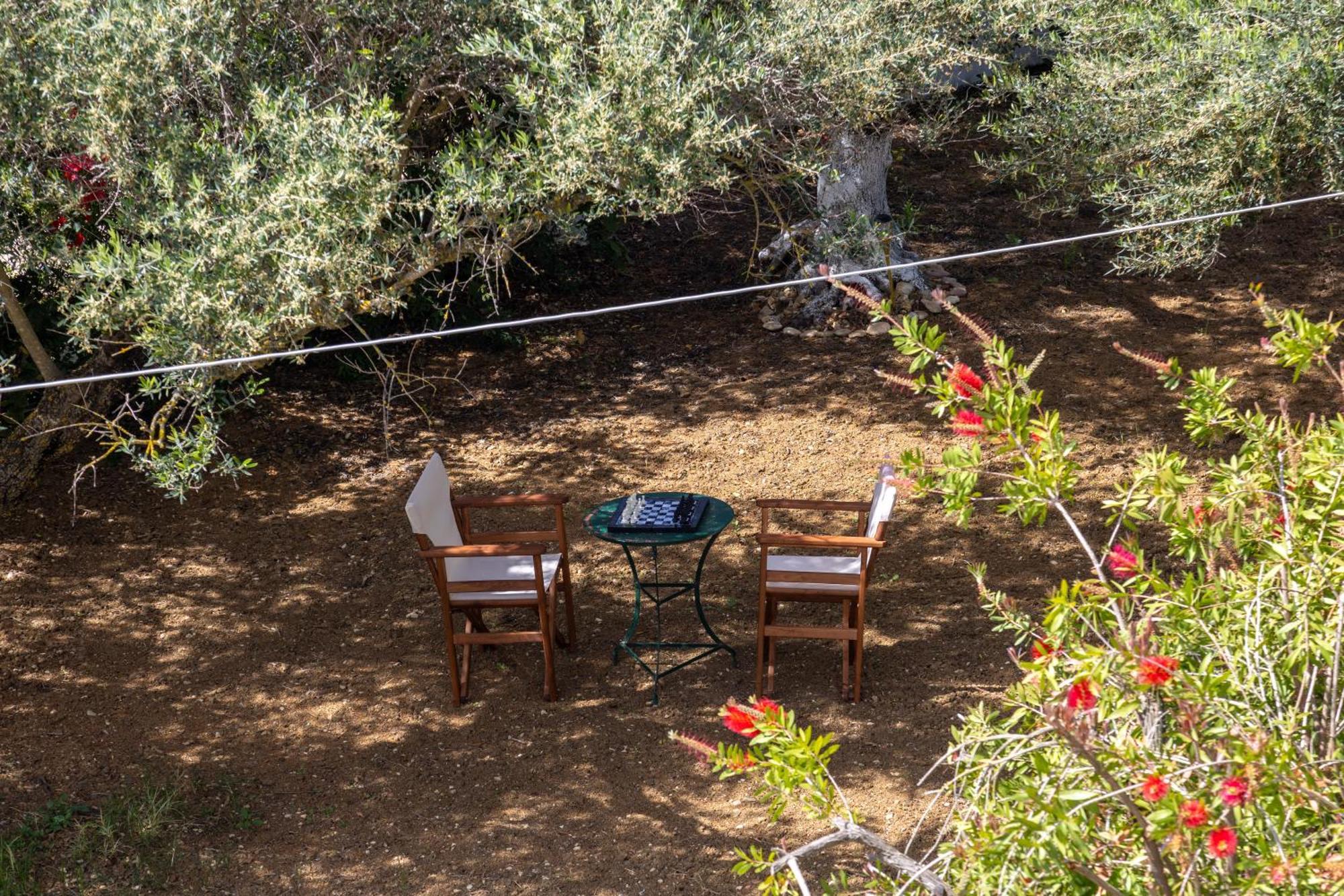 Вилла Sea & Olives House Ликсури Экстерьер фото